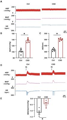 Sleep deprivation reduces the baroreflex sensitivity through elevated angiotensin (Ang) II subtype 1 receptor expression in the nucleus tractus solitarii